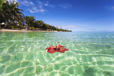 Viaggio in Australia e nelle romantiche Fiji Viaggio in Australia e nelle romantiche Fiji