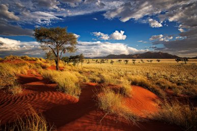 Tour della Namibia: scopri cosa vedere con Alidays Tour della Namibia: scopri cosa vedere con Alidays
