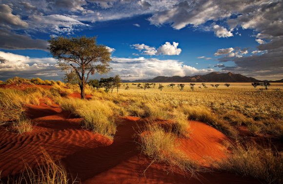 Tour della Namibia: scopri cosa vedere con Alidays Tour della Namibia: scopri cosa vedere con Alidays