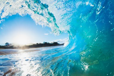 Viaggio a Tokyo, Seoul e Hawaii City 'n Surf Viaggio a Tokyo, Seoul e Hawaii City 'n Surf