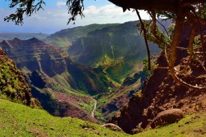 Gran hawaii tour Waimea canyon