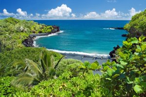 Pacific Coast Maui Hawaii