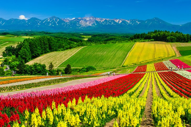 Giappone, Hokkaido: 4 stagioni per amarlo Giappone, Hokkaido: 4 stagioni per amarlo