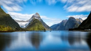 Nuova Zelanda Animali Milford Sound Fjord