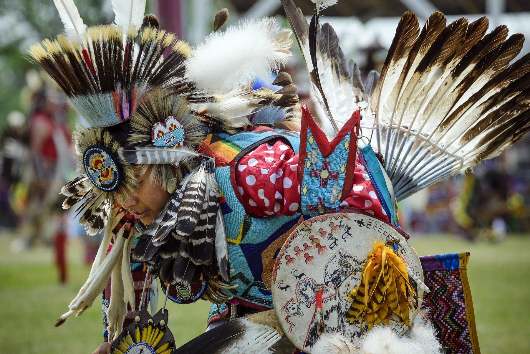 Un Viaggio In Usa Nei Luoghi Sacri Degli Indiani Dakota Alidays