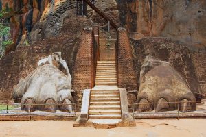 Ceylon Sigiriya leoni