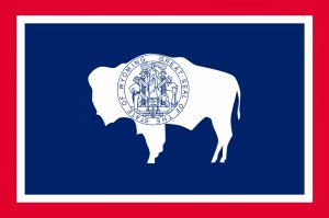 Viaggio nella Real America Wyoming Bandiera
