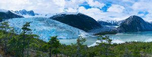 vIAGGIO IN CILE TERRA DEL FUEGO