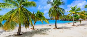 Galleon Beach on Caribbean island Antigua, English Harbour, paradise bay at tropical island in the Caribbean Sea