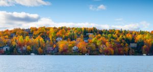 Colorful trees in mountain with green, yeloow, orange and red leaves with lake in foreground.