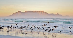 Paesaggio con spiaggia e Table mountain all'alba