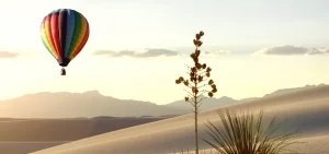 New Mexico desert Balloon