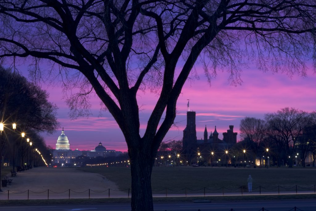 Washington DC Sunrise Alidays