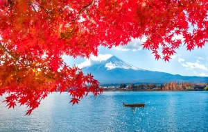 Autumn at Fuji mountain,Japan