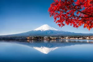 Mount Fuji with red maple leaves, Lake Kawaguchi, Yamanashi Prefecture, Japan