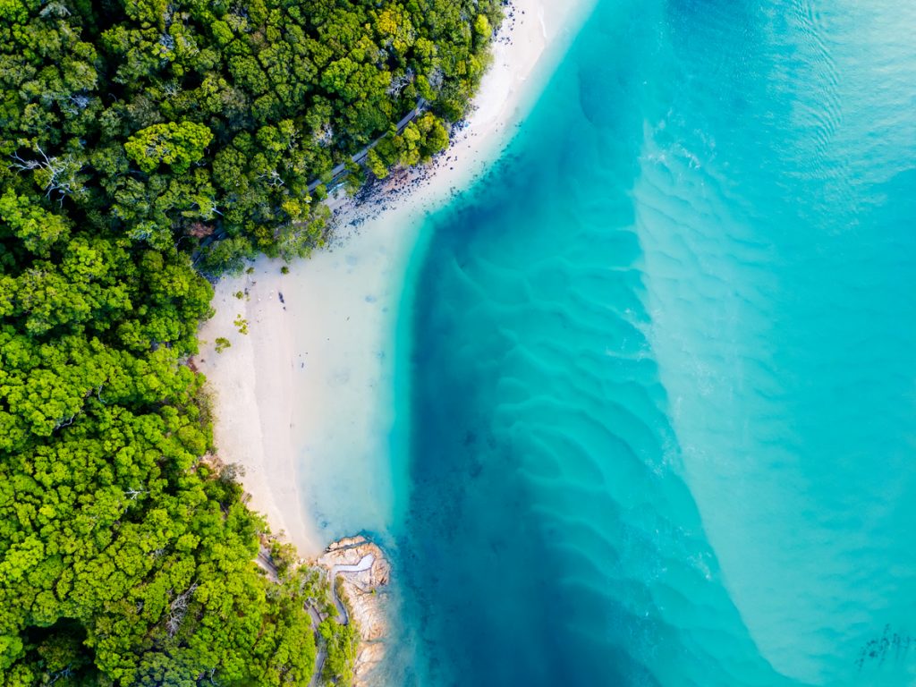 Queensland ecosistemi viaggio in Australia