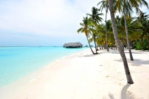 SONEVA_FUSHI tropical beach with palm trees and blue lagoon