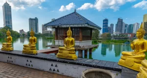 Golden buddha statues at Gangarama Seema Malakaya buddhist temple at Colombo, Sri Lanka.
