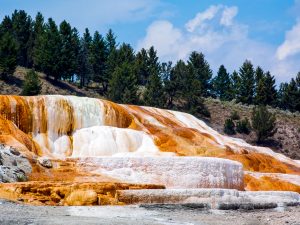 mAMMOTH HOT SPRINGS