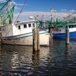 Colorful shrimp fishing boats docked in harbor at Biloxi, Mississippi