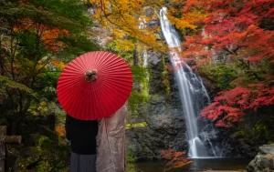 Pre wedding photo for Japanese couple and red umbrella on the red bridge in minoh waterfall park with autumn red and yellow background, Osaka, Japan