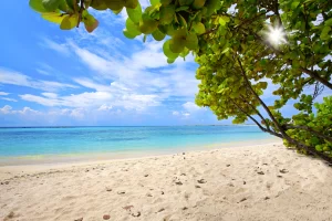 baby beach aruba