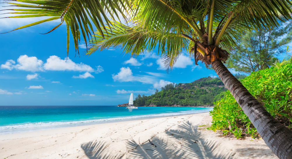 spiaggia con palme giamaica