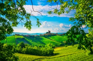 Foto panorama colline vigneti Langhe in Piemonte