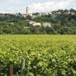 Beautiful Landscape In San Pietro In Cariano Valpolicella In Verona