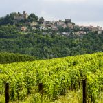 Summer Landscape In Monferrato (piedmont, Italy) With Vineyard ,Near Trisobbio