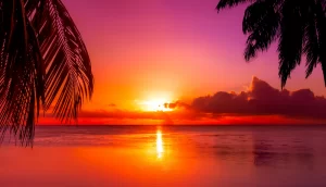 Tahiti sunset on the beach