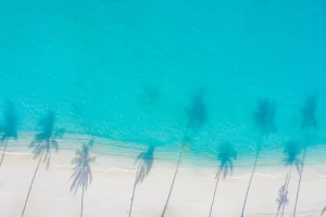 areal view beach and sea maldive