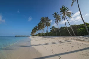Spiaggia con palme Maldive