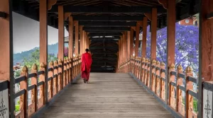 The beauty of Punakha Dzong is incomplete without its monks, drapped in red robe.