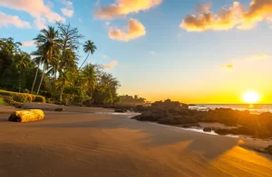 Tramonto tropicale lungo la costa del Pacifico del Costa Rica con sagome di palma all'interno del Corcovado National Park nella penisola di Osa, America Centrale.