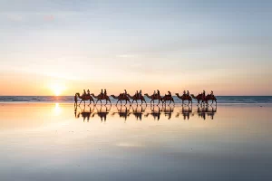 A bright sunset showing people riding the red camels in Broome on a warm afternoon. The camels are reflected in the wet sand of Cable Beach in Western Australia.