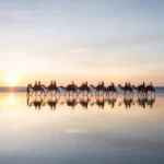 A bright sunset showing people riding the red camels in Broome on a warm afternoon. The camels are reflected in the wet sand of Cable Beach in Western Australia.