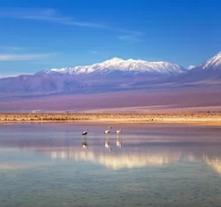 Chaxa Lagoon, Atakama Salar, Chile