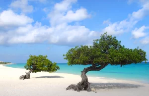 spiaggia aruba