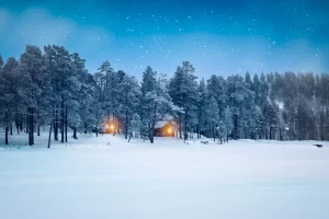 bosco innevato in lapponia di sera