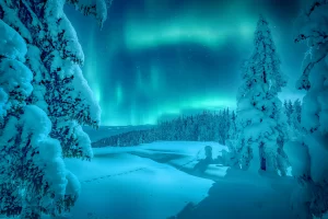 Incredible winter landscape with Northern lights (Aurora Borealis) frosty pine tree under sunlight at sunset.