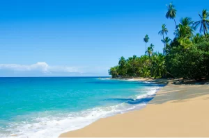 Spiaggia selvaggia Costa Rica