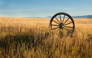 antique wooden wagon wheel with metal rim standing upright in a field of wheat located in eastern