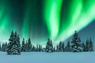 Aurora borealis. Northern lights in winter forest
