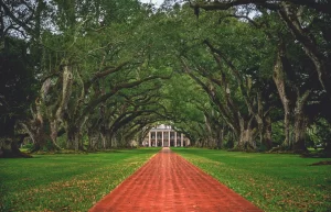 Looking down the tree tunnel of the infamous Oak Alley Plantation in Vacherie, Louisiana.
