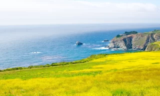 View of the California Coastline along State Road 1