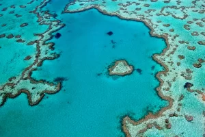 Grande Barriera Corallina Whitsunday Australia