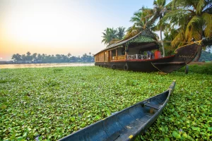 Beautiful sunset with houseboat in the backwaters of Kerala, India