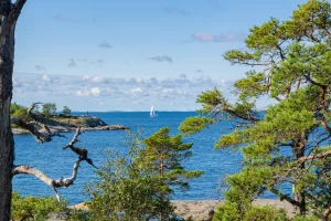 The view from Porkkalanniemi to the Gulf of Finland and trees, Kirkkonummi, Finland