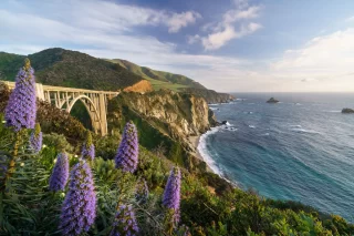 Fioritura a Bixby Bridge big sur california